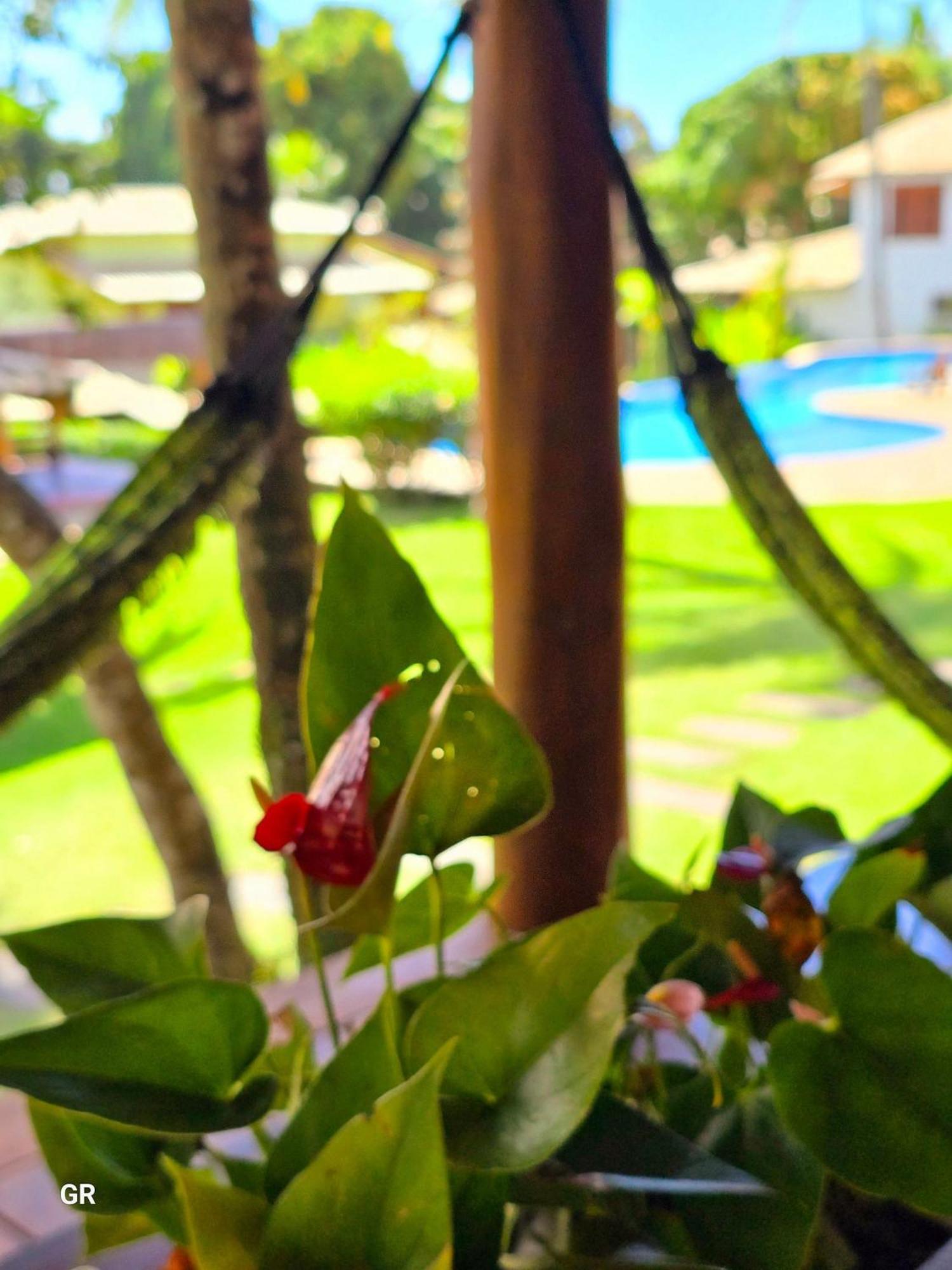 Arraial Lindo condomínio Casa Junia até 6 pessoas Porto Seguro Exterior foto